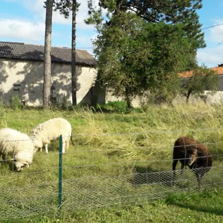 Casa de Férias 3 La Vigne Est Belle Pour 1 à 3 Personnes