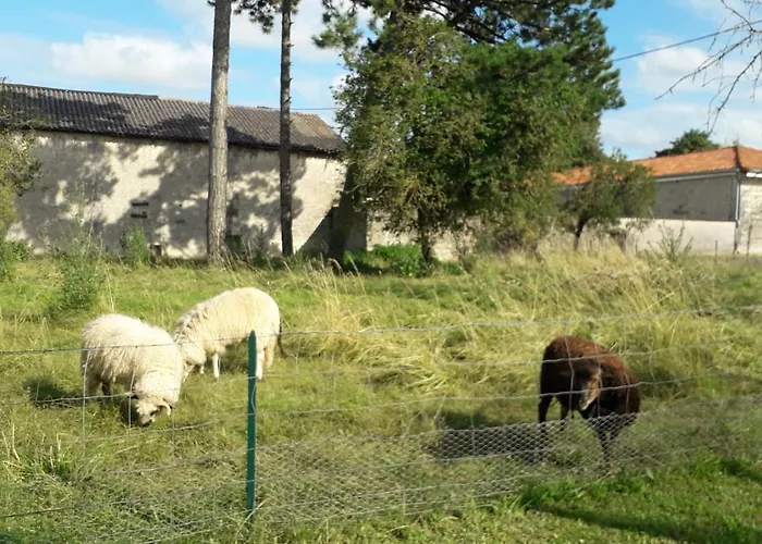 Σπίτι διακοπών 3 La Vigne Est Belle Pour 1 A 3 Personnes